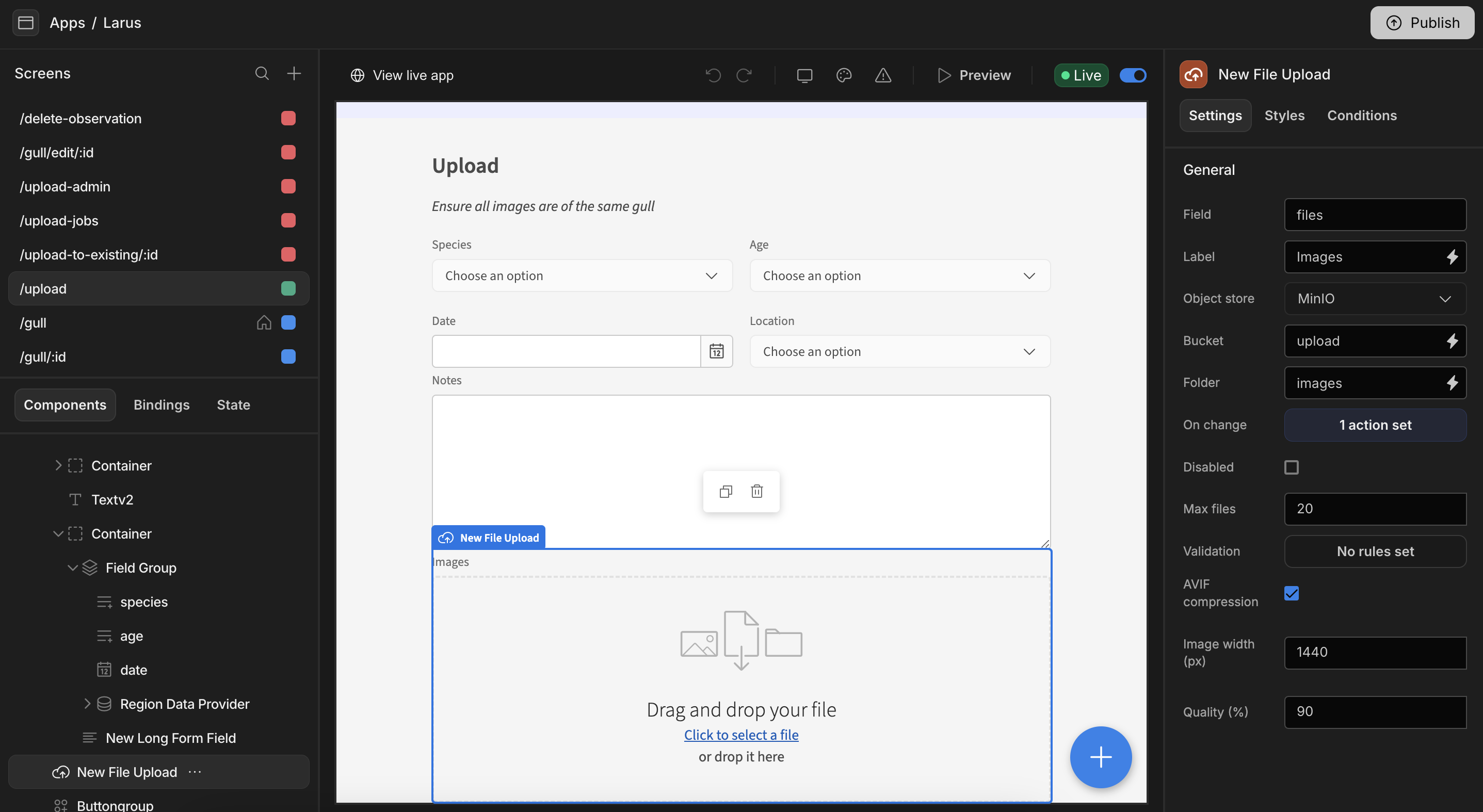 The app builder